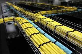 �W(w��ng)�j������ע�����